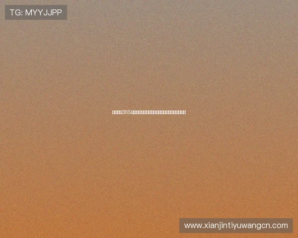 使用广东365速发，让您的商品实现快速流通，提升市场竞争力