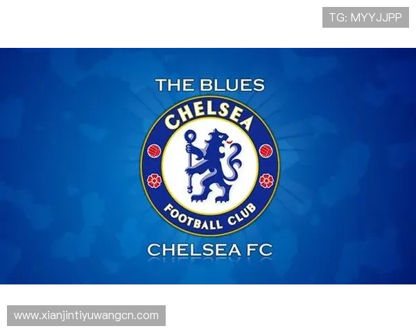 伟德体育荣获行业大奖，彰显其在体育博彩领域的领导地位