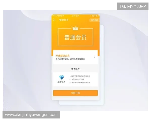 多米体育手机版会员登录界面操作指南让你轻松掌握登录技巧