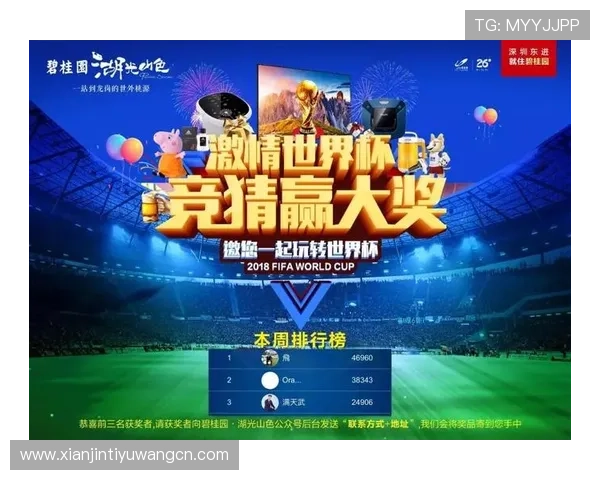 中国体育彩票世界杯竞猜如何参与，详细步骤与注意事项全方位解析让你轻松上手